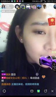 国内在线主播福利,丰厚待遇背后的行业秘密