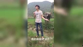 伦理福利视频在线,探讨道德关怀与传播之道