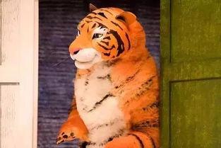 四虎国产福利在线播放,热门资源盘点与观看指南