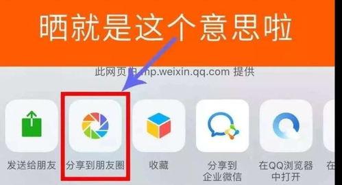 69国内福利在线一区,揭秘热门影视资源聚集地