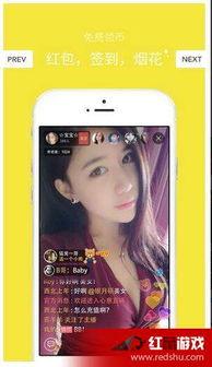 各类门视频福利在线,解锁无限娱乐新体验